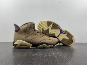 Air Jordan 6“Brown Kelp”